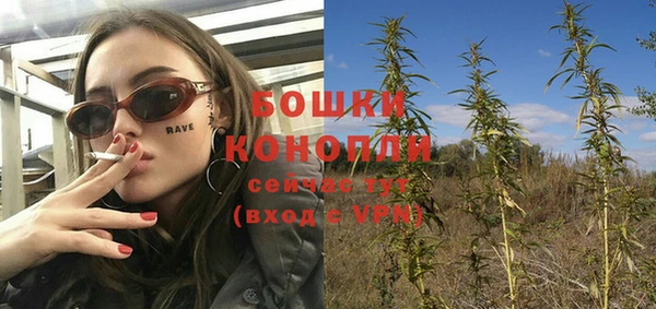шишки Алзамай