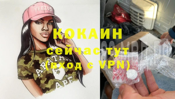 шишки Алзамай