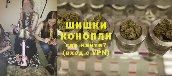 шишки Алзамай